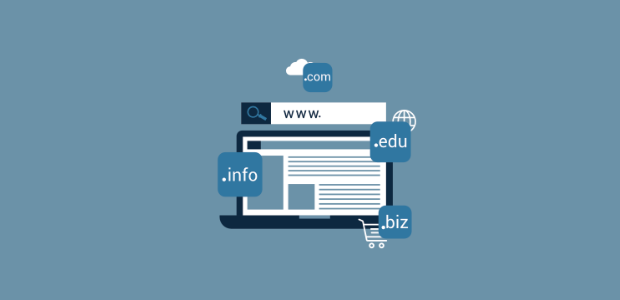 What are the Best Tools for Domain Management?